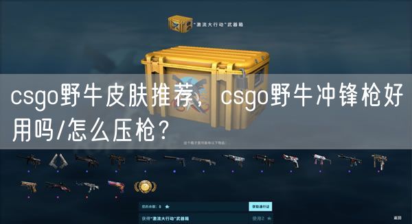 csgo野牛皮肤推荐,csgo野牛冲锋枪好用吗/怎么压枪?