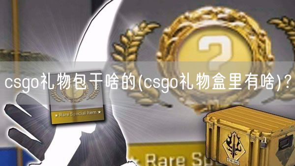csgo礼物包干啥的(csgo礼物盒里有啥)?