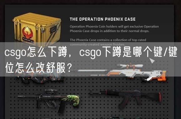 csgo怎么下蹲，csgo下蹲是哪个键/键位怎么改舒服？