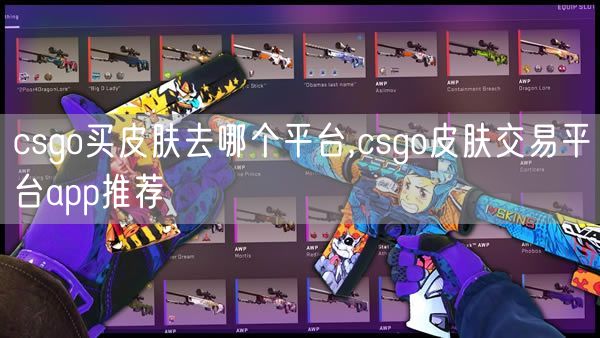 csgo买皮肤去哪个平台,csgo皮肤交易平台app推荐