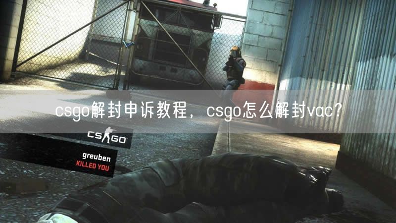 csgo解封申诉教程,csgo怎么解封vac?