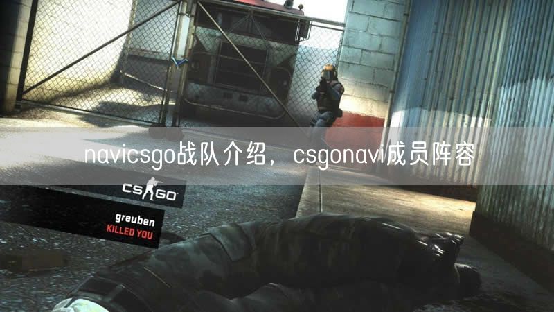 navicsgo战队介绍,csgonavi成员阵容