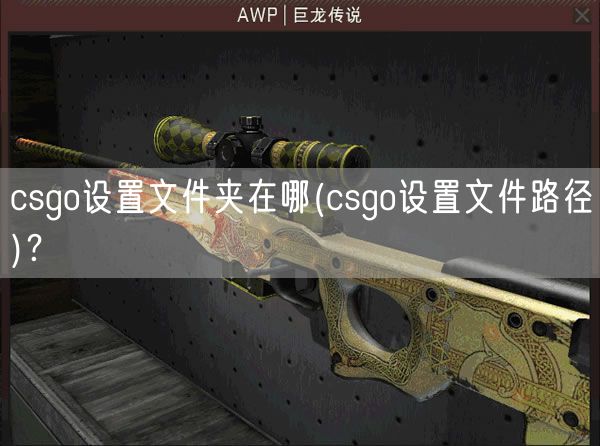 csgo设置文件夹在哪(csgo设置文件路径)?
