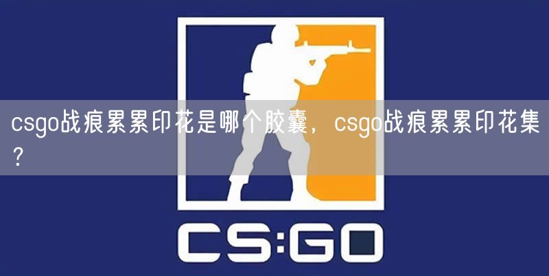 csgo战痕累累印花是哪个胶囊，csgo战痕累累印花集？