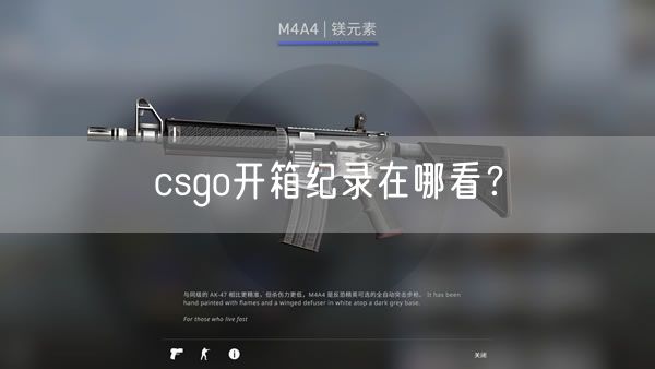 csgo开箱纪录在哪看?