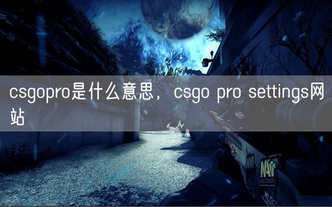 csgopro是什么意思,csgo pro settings网站