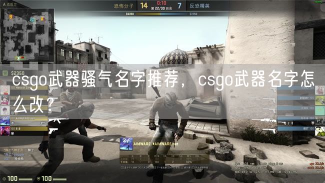 csgo武器骚气名字推荐，csgo武器名字怎么改？