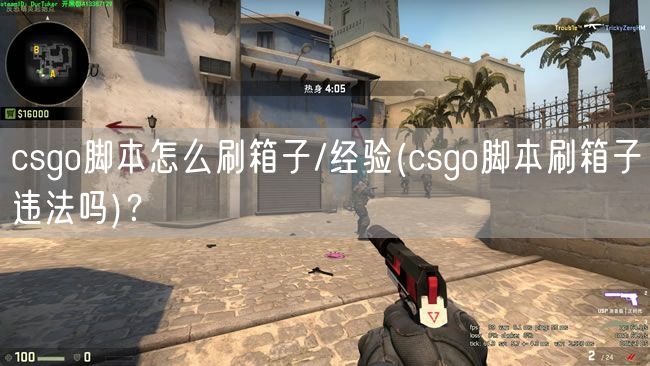 csgo脚本怎么刷箱子/经验(csgo脚本刷箱子违法吗)？