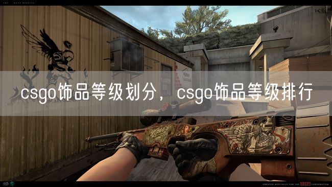 csgo饰品等级划分,csgo饰品等级排行