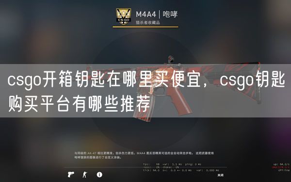 csgo开箱钥匙在哪里买便宜,csgo钥匙购买平台有哪些推荐