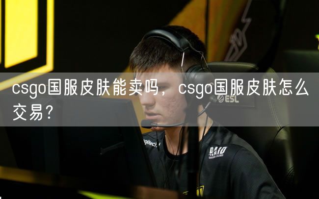csgo国服皮肤能卖吗,csgo国服皮肤怎么交易?
