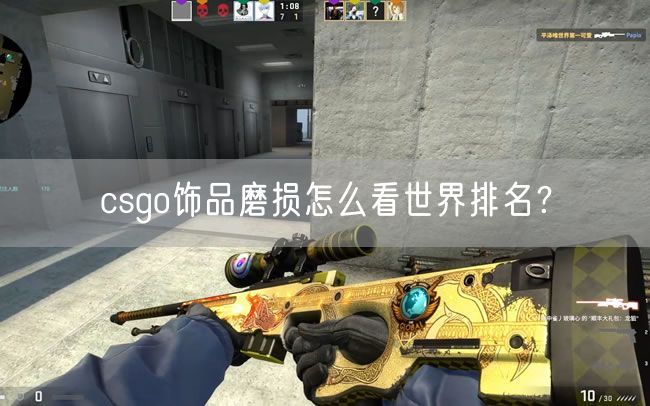 csgo饰品磨损怎么看世界排名?