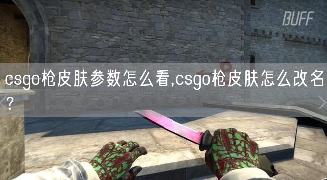 csgo枪皮肤参数怎么看,csgo枪皮肤怎么改名？