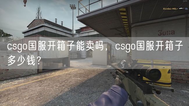 csgo国服开箱子能卖吗，csgo国服开箱子多少钱？