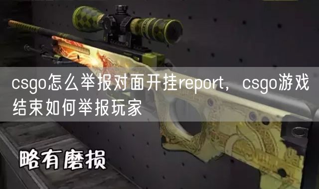csgo怎么举报对面开挂report,csgo游戏结束如何举报玩家