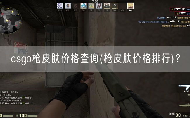 csgo枪皮肤价格查询(枪皮肤价格排行)?