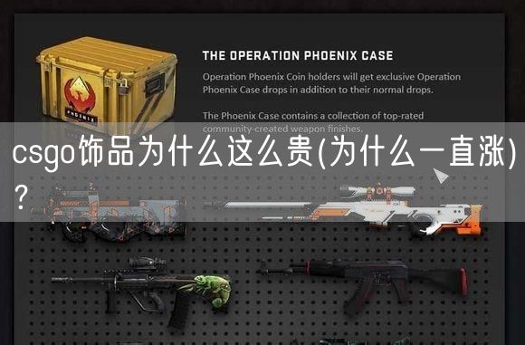 csgo饰品为什么这么贵(为什么一直涨)？