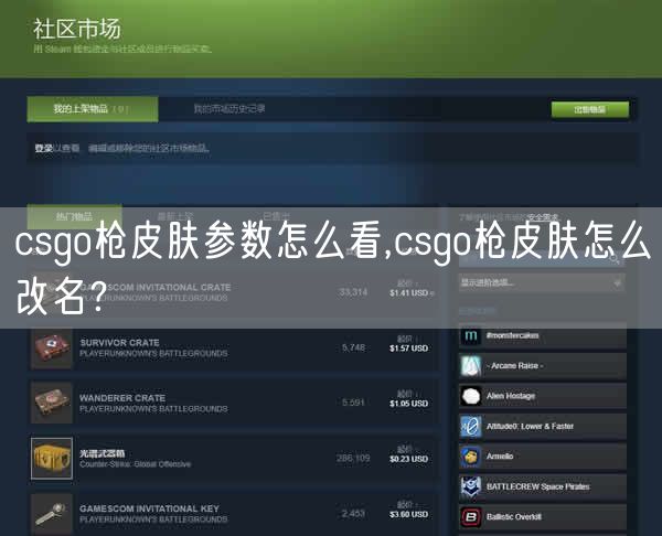 csgo枪皮肤参数怎么看,csgo枪皮肤怎么改名? csgo枪皮肤参数怎么看,csgo枪皮肤怎么改名?