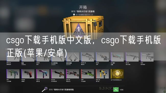 csgo下载手机版中文版，csgo下载手机版正版(苹果/安卓)