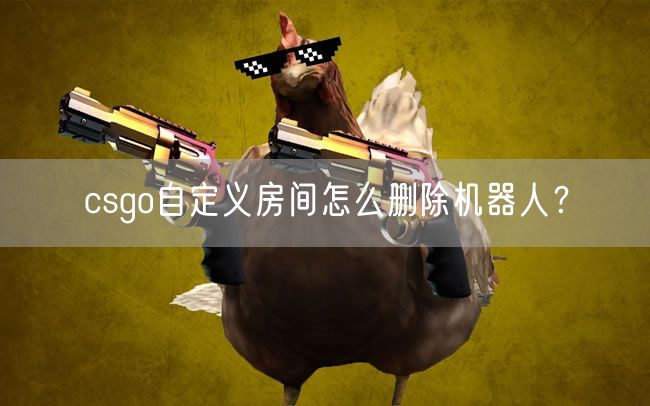 csgo自定义房间怎么删除机器人?