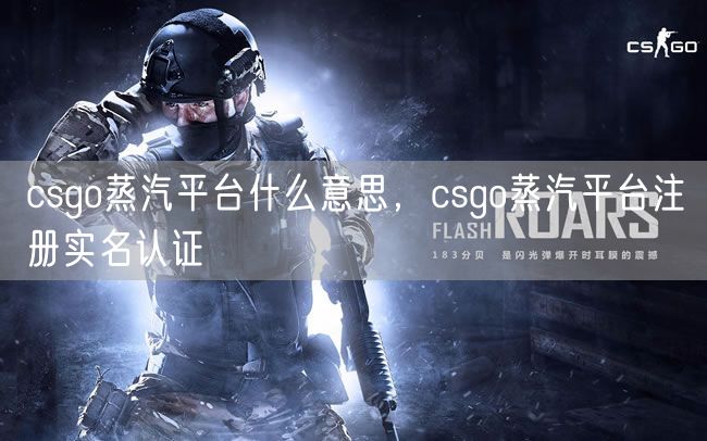 csgo蒸汽平台什么意思，csgo蒸汽平台注册实名认证