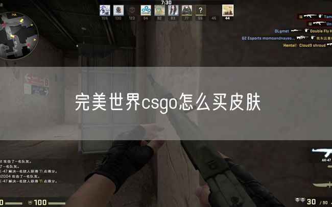 完美世界csgo怎么买皮肤