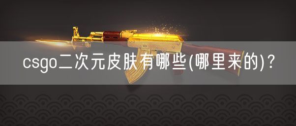 csgo二次元皮肤有哪些(哪里来的)?
