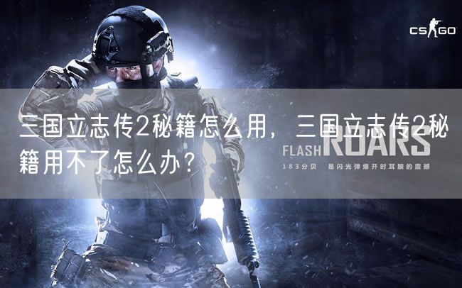 三国立志传2秘籍怎么用,三国立志传2秘籍用不了怎么办?