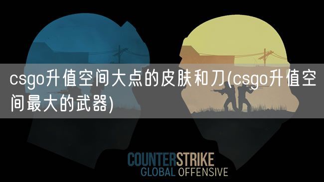 csgo升值空间大点的皮肤和刀(csgo升值空间最大的武器)