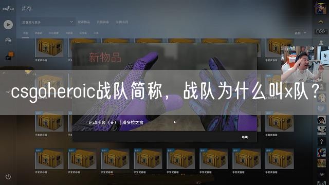 csgoheroic战队简称,战队为什么叫x队?