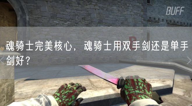 魂骑士完美核心,魂骑士用双手剑还是单手剑好?
