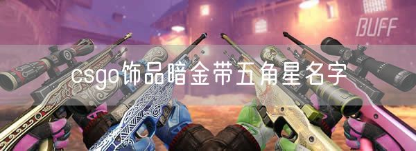 csgo饰品暗金带五角星名字