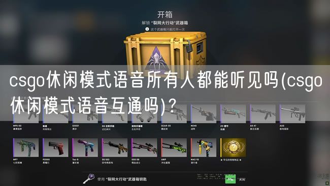csgo休闲模式语音所有人都能听见吗(csgo休闲模式语音互通吗)?