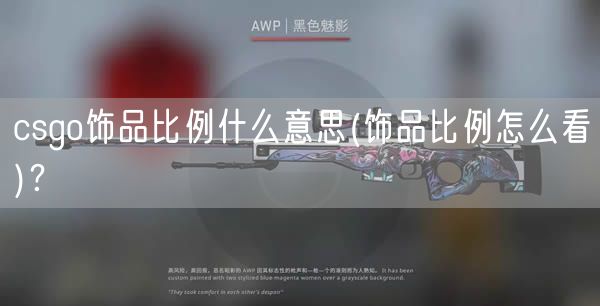 csgo饰品比例什么意思(饰品比例怎么看)?