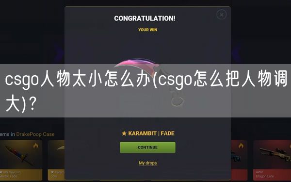 csgo人物太小怎么办(csgo怎么把人物调大)?