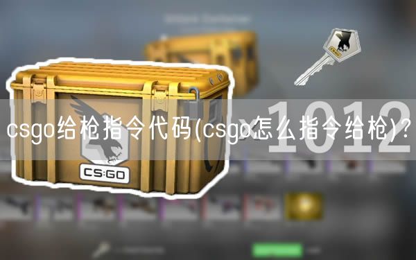 csgo给枪指令代码(csgo怎么指令给枪)？