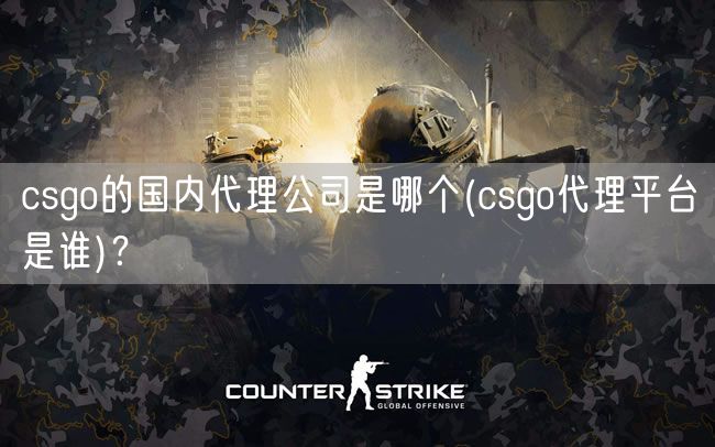 csgo的国内代理公司是哪个(csgo代理平台是谁)?