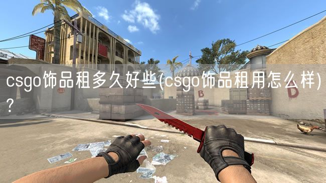 csgo饰品租多久好些(csgo饰品租用怎么样)?