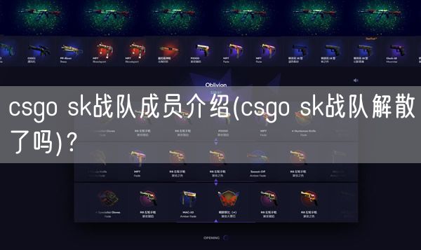 csgo sk战队成员介绍(csgo sk战队解散了吗)？