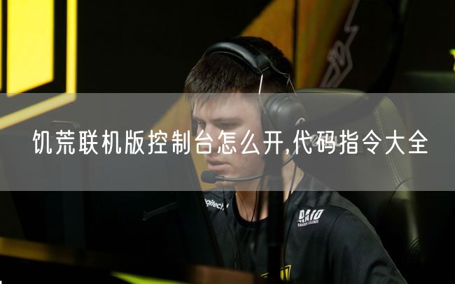 饥荒联机版控制台怎么开,代码指令大全