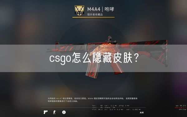 csgo怎么隐藏皮肤?
