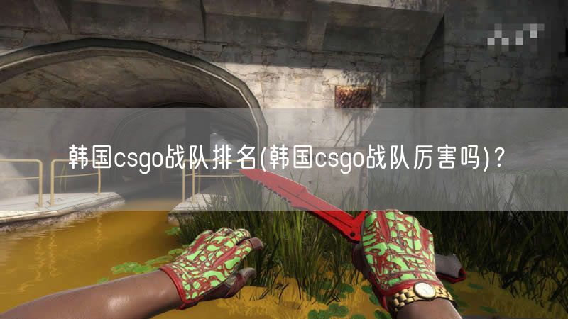 韩国csgo战队排名(韩国csgo战队厉害吗)?