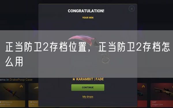 正当防卫2存档位置,正当防卫2存档怎么用