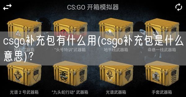 csgo补充包有什么用(csgo补充包是什么意思)?