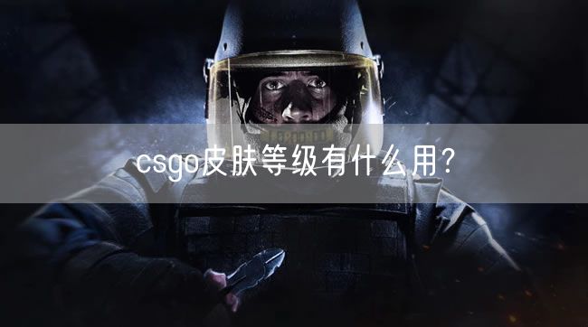 csgo皮肤等级有什么用?