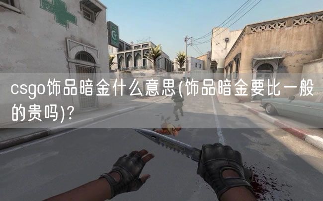 csgo饰品暗金什么意思(饰品暗金要比一般的贵吗)?
