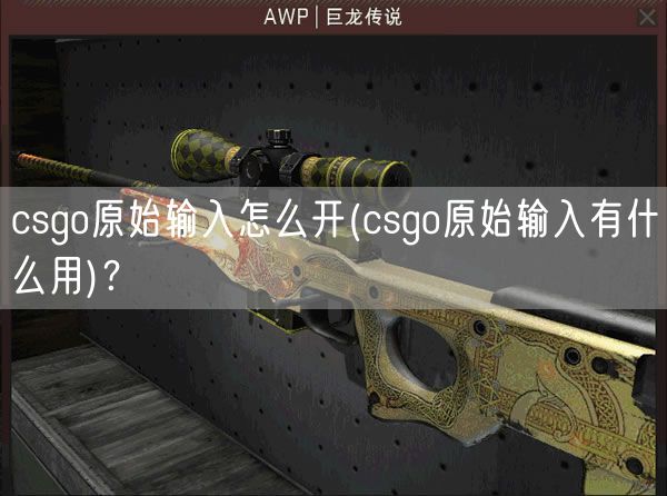 csgo原始输入怎么开(csgo原始输入有什么用)？