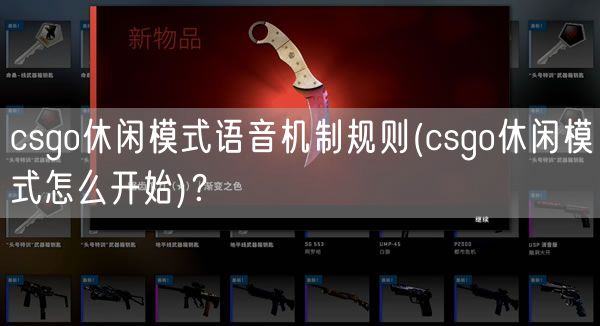 csgo休闲模式语音机制规则(csgo休闲模式怎么开始)?