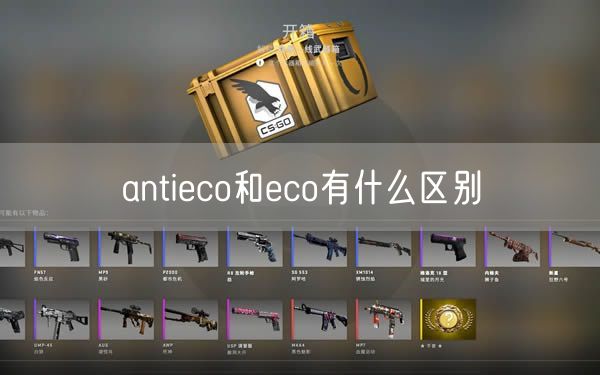 antieco和eco有什么区别