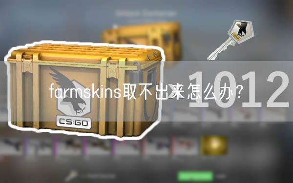 farmskins取不出来怎么办？